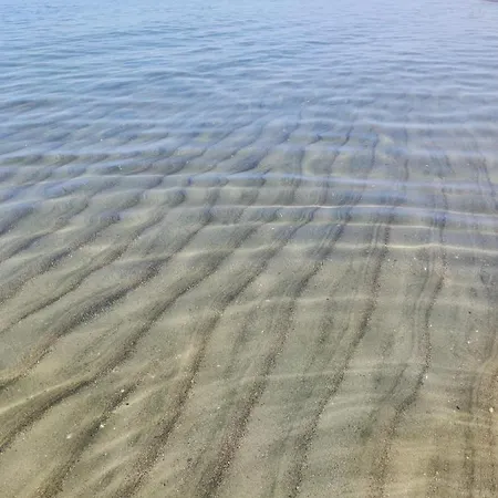 Piuma Celeste A Due Passi Dal Mare E Dal Centro Storico