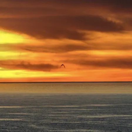 Piuma Celeste A Due Passi Dal Mare E Dal Centro Storico Lägenhet Lido di Ostia